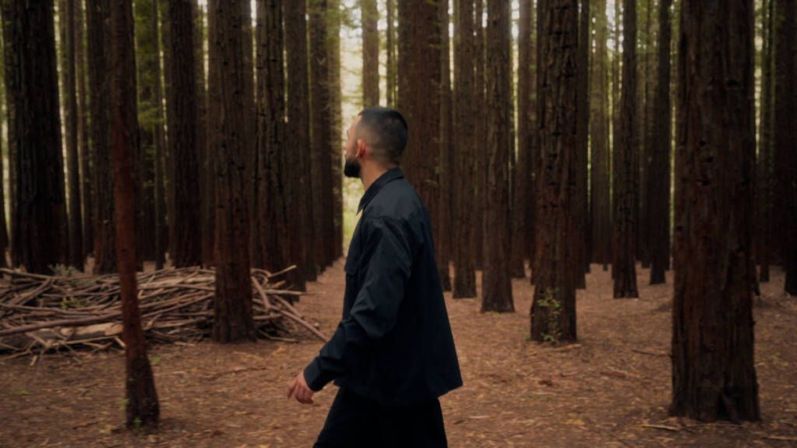 The Listening Session: Short Experience