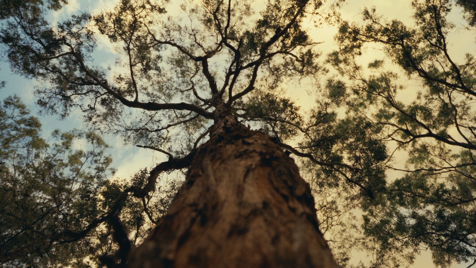 The North Face Never Just a Hike hero film