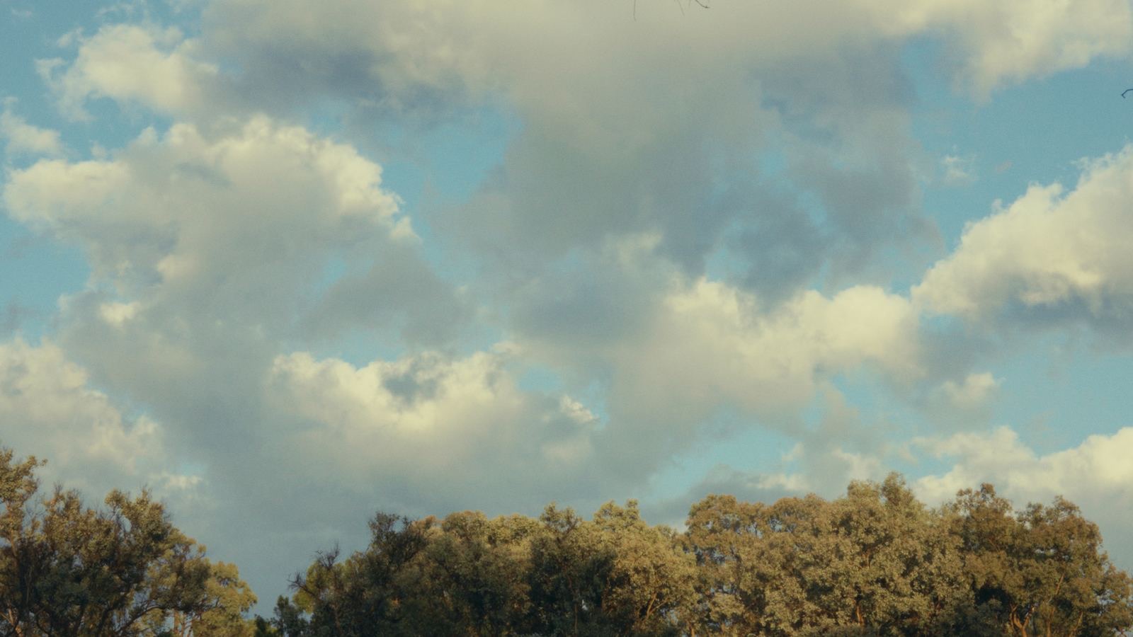 Clouds over the treeline